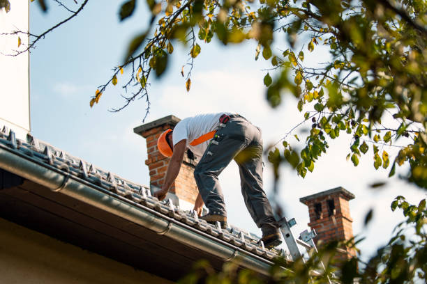Quick and Trustworthy Emergency Roof Repair Services in Harrison, MI