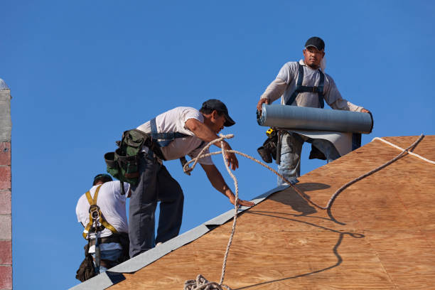 Best New Roof Installation  in Harrison, MI