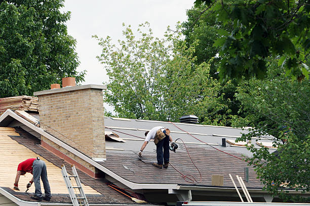 Best Gutter Installation and Roofing  in Harrison, MI