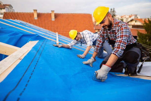 Best Roof Waterproofing Services  in Harrison, MI