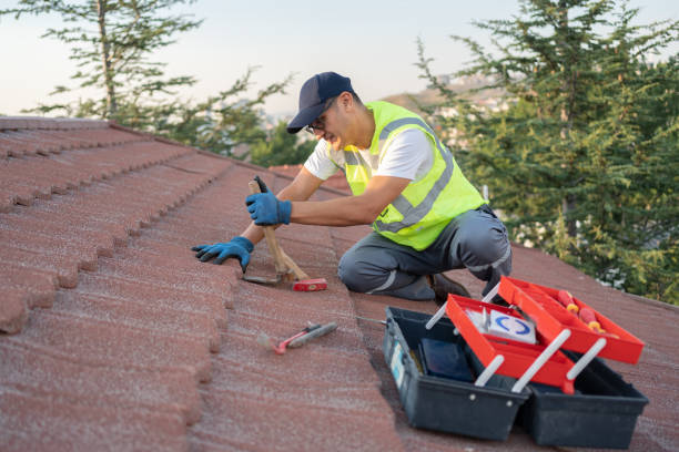 Best Roof Repair Services  in Harrison, MI