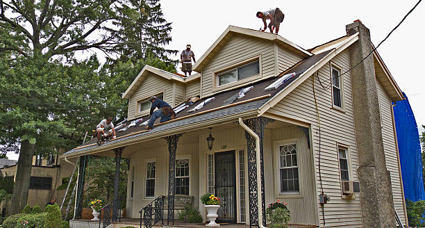 Best Roof Maintenance Services  in Harrison, MI