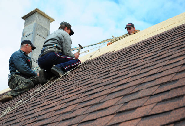 Best Slate Roofing Contractor  in Harrison, MI